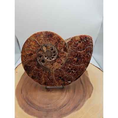 2-36lb-rare-natural-ammonite-fossil-specimen-shell-madagascar