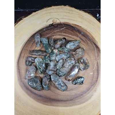 24Pcs Natural Phantom Ghost Clear Quartz Crystal Stone Tumble Brazil .61lbs