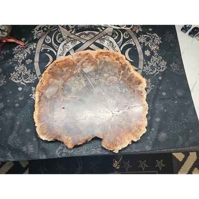 27.3LB TOP Natural fossil wood Quartz carved Crystal mineral Specimen healing