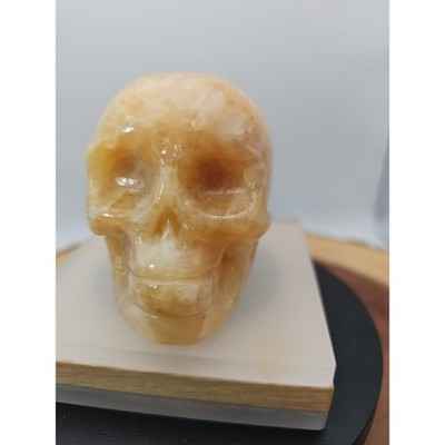 .89lb Natural Jasper Calcite Skulls Crystal Carving Mixed Stones Healing