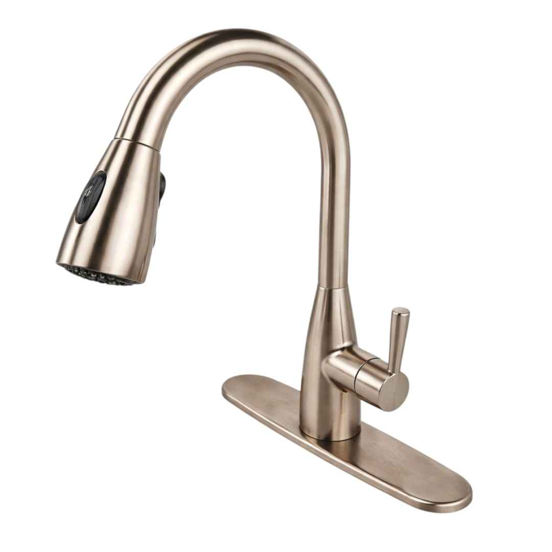 7418300.075 2S Single-Handle Pull-Down Sprayer Kitchen Faucet in Stainless Steel