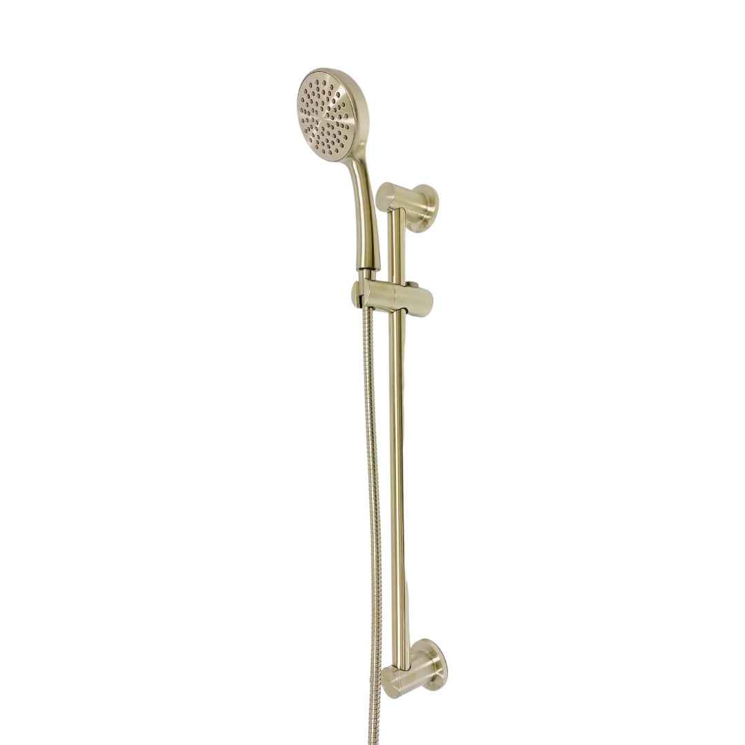 3868EPBN 1-Spray Eco-Friendly 4 in. Hand Shower with Slide Bar in Brushed Nickel Finish