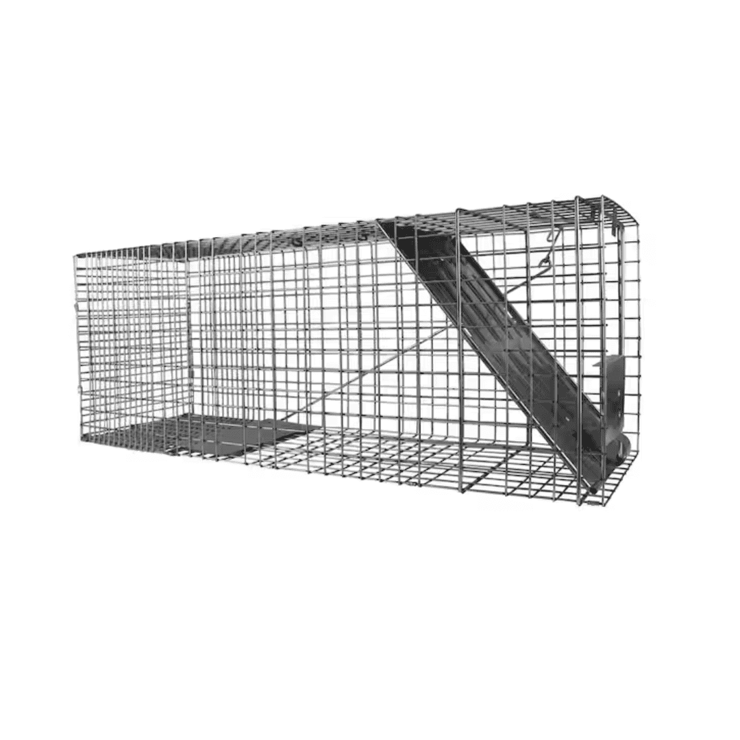 Havahart 1079 Large 1-Door Professional Live Animal Cage Trap for Raccoon, Opossum, Groundhog, and Feral Cat
