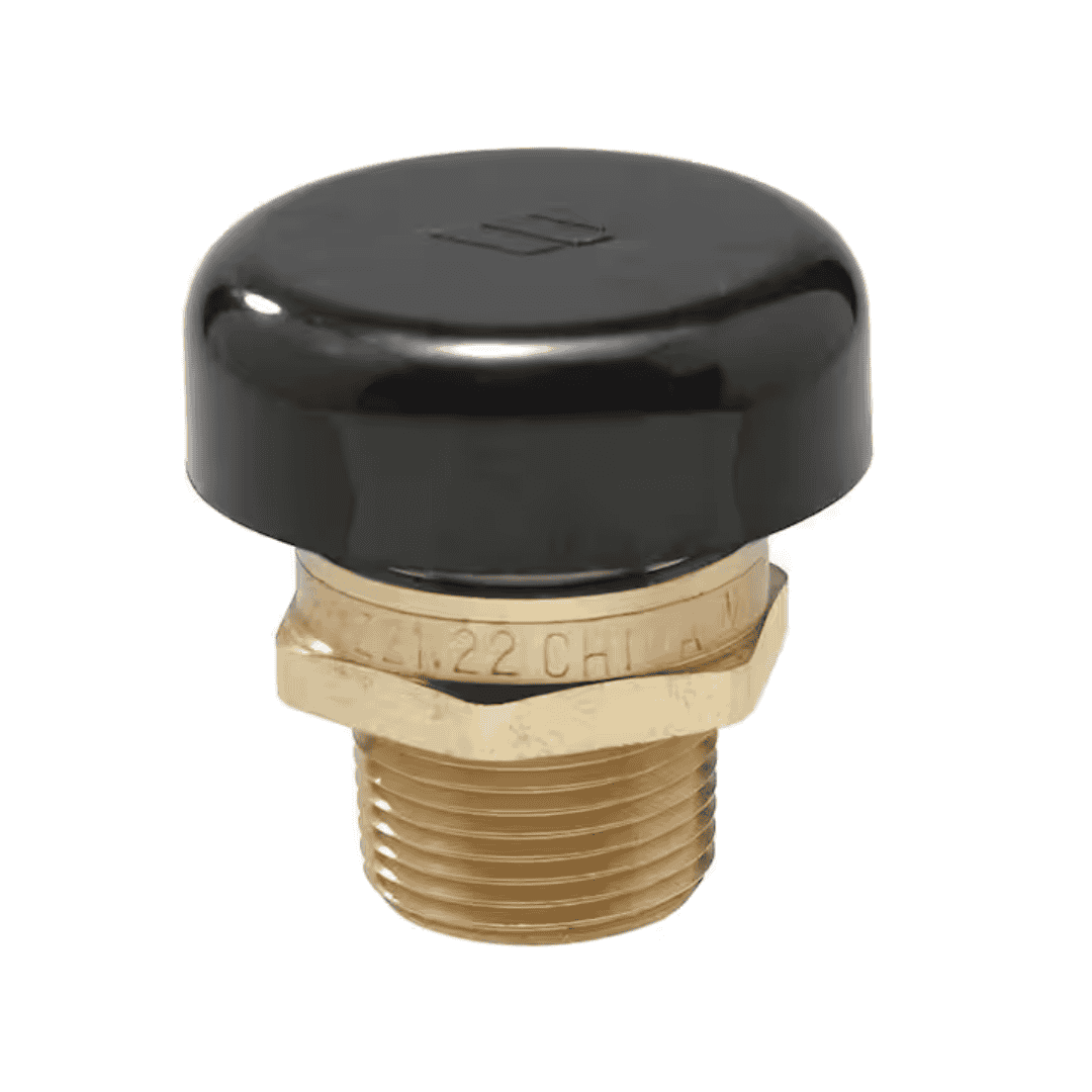 Watts 1/2 LFN36M1 1/2 in. Brass MPT Vacuum-Relief Valve